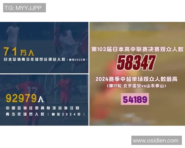 日本足球引进的国外球星及其对日本足球发展的深远影响